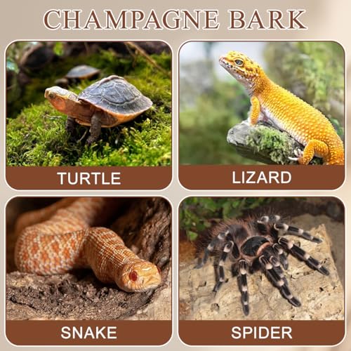 Gatuida 4pcs Natural Cork Bark for Reptiles, Wood Tree Bark Reptile Hides Small Climbing Decor, Terrarium Tank Accessories for Bearded Dragon Geckos Lizard Tortoise Water Tube Landscaping