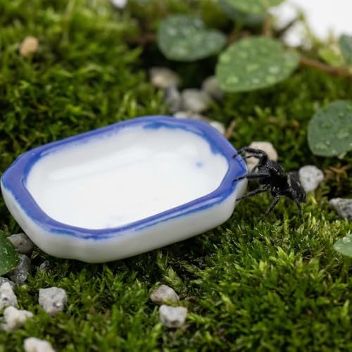 9 Pack Spider Mini Feeding Bowl Tarantula Micro Ceramic Water Dish for Spider Cricket Snail Manti Bugs Insect Tarantula Enclosure Accessories