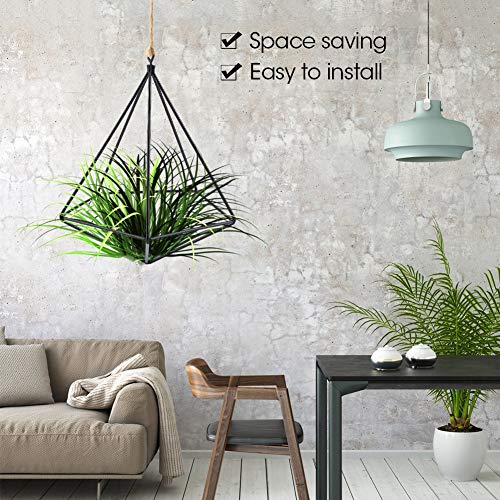 Air Plant Holder,Metal Geometric Hanging Airplants Plant Hanger, Freestanding Hanging Geometric Plant Stand, Flower Hanger Moss Fern Plant Pot Decor(Black)