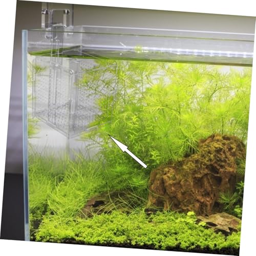 COLLBATH 1set Fish Isolation Box with Cups and Hook Acrylic Breeding Container for Fish Separation Tanks Design Prevents Jumping and