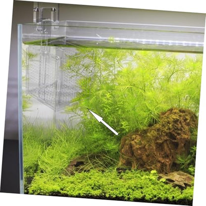 COLLBATH 1set Fish Isolation Box with Cups and Hook Acrylic Breeding Container for Fish Separation Tanks Design Prevents Jumping and