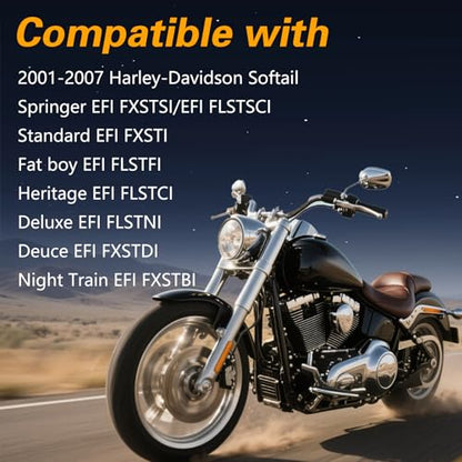 EFI Fuel Check Valve Assembly Compatible with Harley-Davidson Softail Fat boy/Heritage/Deluxe/Deuce/Night Train/Standard/Springer 2001-2007 Replace# 62189-01A