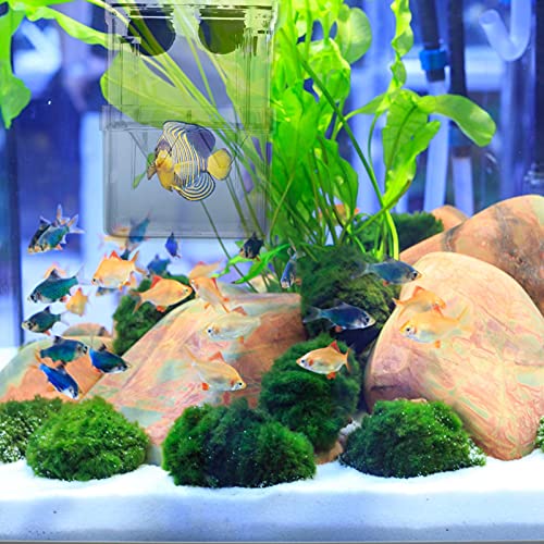 POPETPOP Fish Breeding Box - 2Pcs Plastic Aquarium Hatchery Incubator Box with Suction Cups for Fish & Shrimp