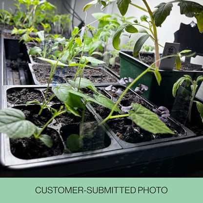 Seed Starter Trays, 144 Cells (24 Trays - 6 Cells Per Tray) + Plant Stakes - size: 24 Trays (144 Cells)