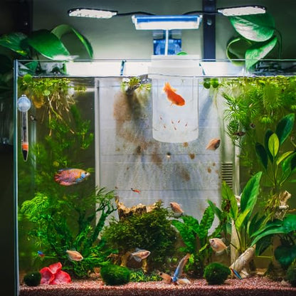 Floating Fish Fry Incubation Box Coarse and Fine Mesh Aquarium Divider for Betta Guppy Shrimp Breeding, Plastic Floating Hatchery Isolation Box for Fish Tank Nursery