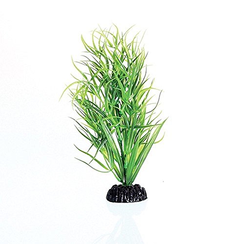 Underwater Treasures Green Diandra - 8"