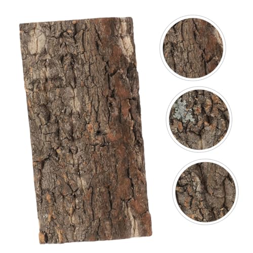 3pcs Bark Background for Reptile Terrariums Decor for Fish Tanks Comfortable Habitat for Snakes Lizards More