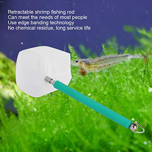 Pssopp Small Aquarium Fish Net Telescopic Pole Fish Shrimp Catch Nets Skimming Net with Extendable Long Handle for Fish Fry Crystal Shrimp(Green )