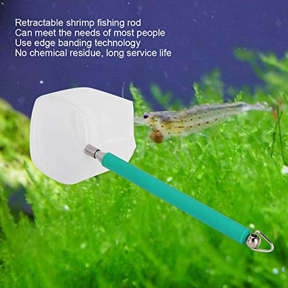 Pssopp Small Aquarium Fish Net Telescopic Pole Fish Shrimp Catch Nets Skimming Net with Extendable Long Handle for Fish Fry Crystal Shrimp(Green )