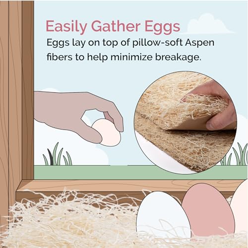 Chicken Nesting Pads (10 Pack) USA Grown, 100% Biodegradable, Sustainably Harvested, Aspen Excelsior Pads, 13"x13", Chicken Nesting Box Pads