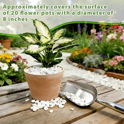 18-lb Bulk Bag White Pebbles 1/2" Size Aquarium Gravel Outdoor Garden Paving Plant Decorative Stones…