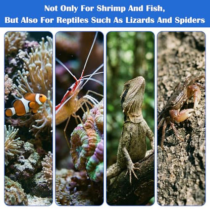 3 Sizes Glass Shrimp Feeding Dish Set, Round Food Feeder Fish Bowl Small Clear Bowls for Aquarium, Fish Tank (2.36", 2.56", 3.15")
