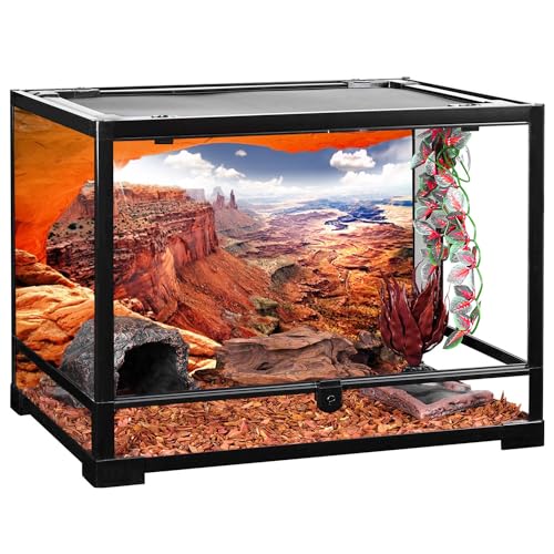 AWERT Stone Reptile Habitat Background Sky Oasis Mountain Cactus Sun and Desert Terrarium Background 24x16 inches Polyester Background - size: 24x16in/60x40cm