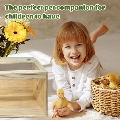 20-Piece Large Chicken Brooder Box, All-in-One Kit Brooder Box, Brooder for Chicks, Quail, Hamsters, Up to 35 Chicks Capacity, Pattern B, 31.5" L x 15.7" W x 15.7" H - size: 31.5"L x 15.8"W x 15.8"H