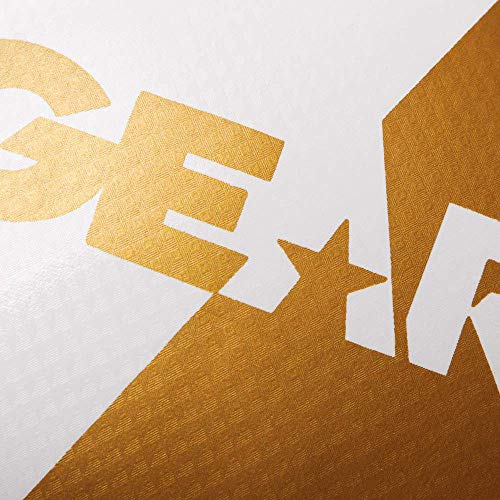 Revgear Pinnacle Boxing Glove | Entry Level | Comfortable & Stylish - color: White/Gold, size: 14OZ