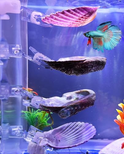 VCEPJH Betta Resting Spot 4 Pcs Shell Bed Toys for Aquarium Betta Hammock with Suction Cups Small Fish Natural Spawning Grounds Breeding Fish Tank Accessories Decorations - color: 2 Pcs Scallops + 2 Pcs Oysters