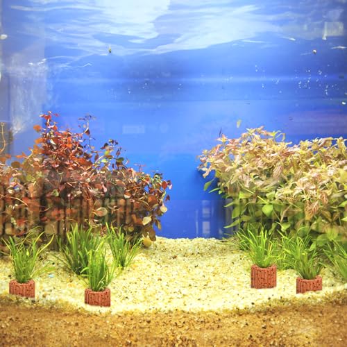 50 Pcs Aquatic Water Plant Fixed Rings, Ceramic Aquarium Plant Holder Weights Aquarium Landscape Cultivation Fixed Cup Pottery Plants Pot Gravity Ring for Fish Tank Accessories
