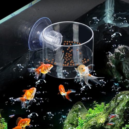 Suction Cup Feeder with Suction Cup Fish Shrimp Feeder Rectangle/Round Floating Fish Food Tray Acrylic Aquarium Fish Feeder(one Size-Rectangle) - color: rectangle, style: one size