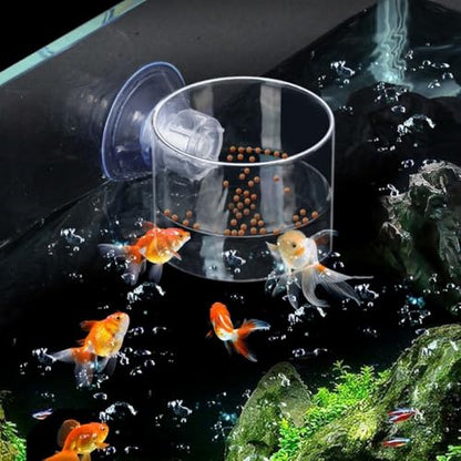 Suction Cup Feeder with Suction Cup Fish Shrimp Feeder Rectangle/Round Floating Fish Food Tray Acrylic Aquarium Fish Feeder(one Size-Rectangle) - color: rectangle, style: one size