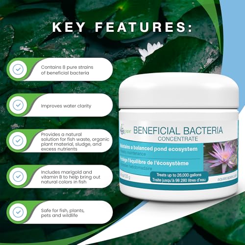 Aquascape Dry Beneficial Bacteria for Pond and Water Features, 4.4-Ounce | 98925,White - size: 0.28 lb