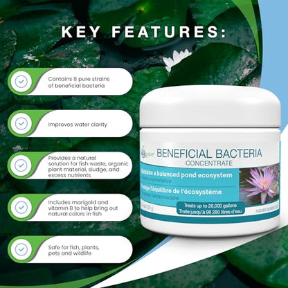 Aquascape 98950 Beneficial Bacteria Water Treatment Dry - 3.2 kg/7 lbs for Pond Water Feature Waterfall | Provides Clean, Clear and Healthy Water Conditions and Reduces Pond Maintenance - size: 7 lb