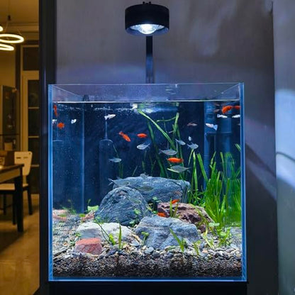 High-Clarity 3.5 Gallon Fish Tank 30 * 15 * 30CM - Low Iron Glass Aquarium with Space-Saving Thin & Narrow Designs | Includes Non-Slip Mat, Corner Guards + Decor | Ideal for Desktop/Bathroom - size: Small