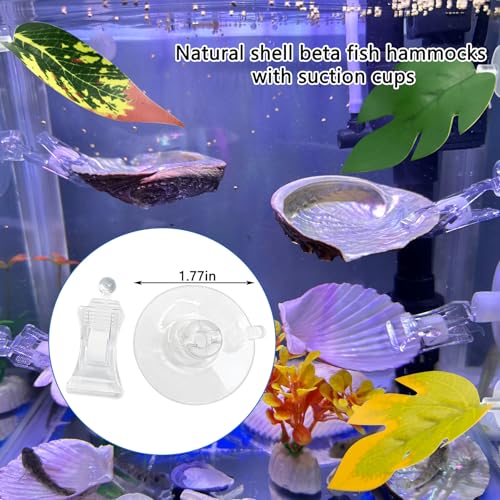 VCEPJH Betta Hammock with Suction Cups Betta Resting Spot 3 Pcs Shell Bed Toys for Aquarium Small Fish Natural Spawning Grounds Breeding Fish Tank Accessories Decorations