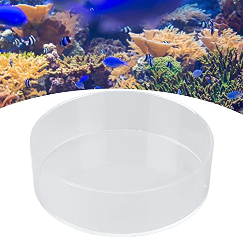 Observe Lense, Fish Tank Acrylic Viewer, High Transparency Cylinder Magnifier for Photography, 2.4GHz Viewing Cylinder Magnifier with Acrylic Material,