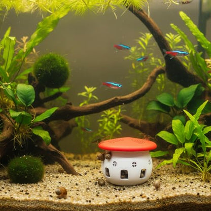 Aquarium Safe Snail Catcher - Reusable Snail Containment Tool for Fish Tanks