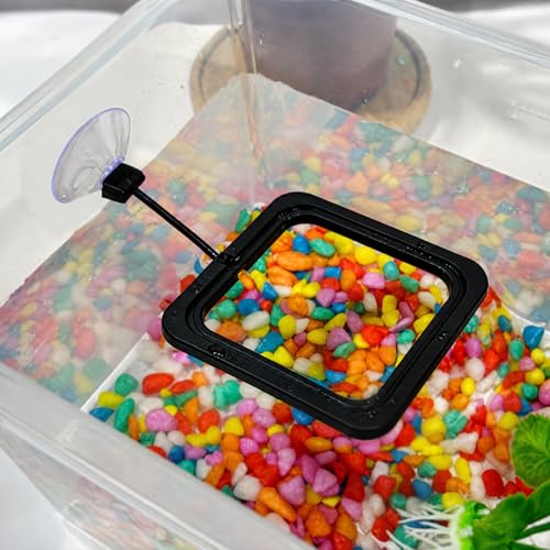 16 Pcs Fish Feeding Ring Combo Set, 4 Pcs Mixed Shape with Suction Cup + 12 Pcs Multi-Size Floating Ring, EVA Floating Plant Corral, Black Aquarium Feeding Ring for Fish Tank, Betta Fish Accessories