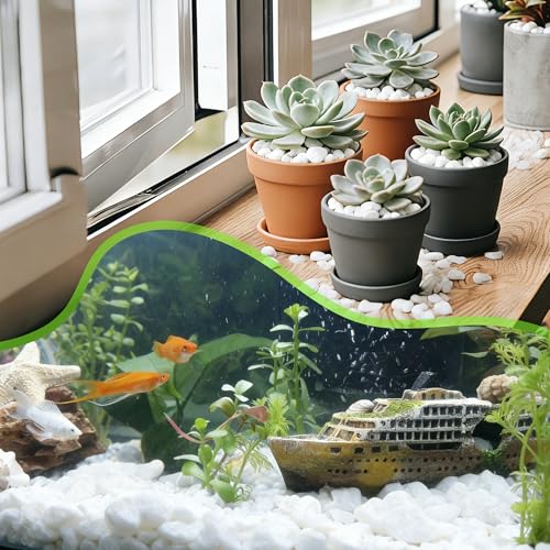 18-lb Bulk Bag White Pebbles 1/2" Size Aquarium Gravel Outdoor Garden Paving Plant Decorative Stones…