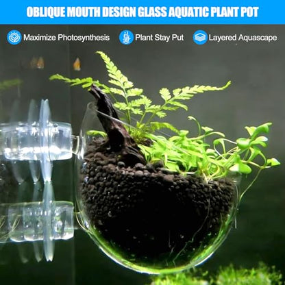4pcs Glass Aquarium Decor Plants Pot，Crystal Aquatic Plant Pot with Suction Cup, Betta Resting Bed Spot，Aquarium Planter Landscaping Cup with Stones Clip and Tweezers (4pcs Glass Aquarium Plant Pot) - size: 4pcs glass aquarium plant pot
