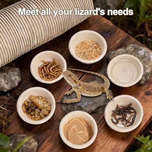 100 Pcs Large Gecko Food Cups - 1oz Disposable Biodegradable Plant Fiber Feeding Bowls, Terrarium Accessories for Crested Gecko, Lizards & Reptile Pets