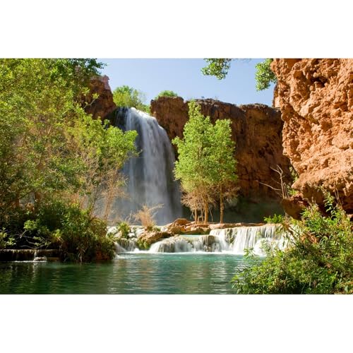 Waterfall Aquarium Background Natural Jungle Forest Landscape Terrarium Background Tranquil Lake Stream Jungle Style Fish Tank Background Mountain Falls Aquarium Backdrop Poster Vinyl 24x16in - color: Pale Green, size: 24(W)x16(H)in