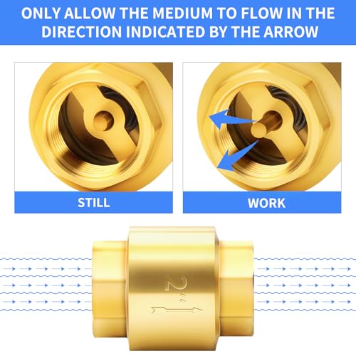 ChillWaves Brass In-Line Spring Check Valve 2" NPT Female Thread, One-Way Non-return Vertical Check Valve for Backflow Prevention(1-PACK) - size: 2" FNPT, style: PACK OF 1