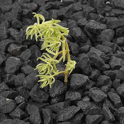 10 Pound Gravel Rocks, 0.5-0.7 Inches Polished Pebbles for Plants, Fish Tank, Clear Vase and More, Natural Black Stones