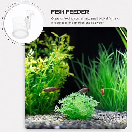 Acrylic Fish Feeding Ring for Aquarium Tank, Lightweight Floating Feeder Circle, Large Size Fish Food Dispenser for Aquarium Supplies