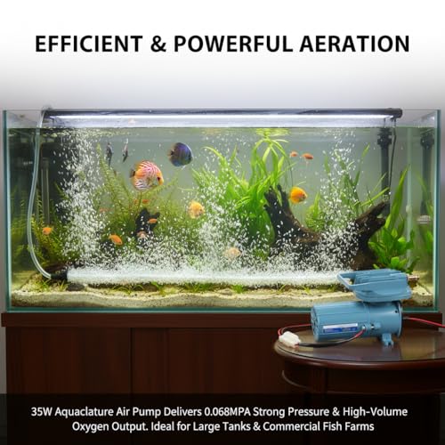 Aquarium Air Pump, DC 12V 35W Fish Aerator for Pond Aquaculture Oxygen Pump with Adjustable Knob Portable Fish Tank Pump for Hydroponics, Fish Farm, 8.6 x 4.3 x 5.5 Inch