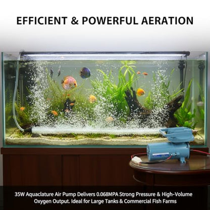 Aquarium Air Pump, DC 12V 35W Fish Aerator for Pond Aquaculture Oxygen Pump with Adjustable Knob Portable Fish Tank Pump for Hydroponics, Fish Farm, 8.6 x 4.3 x 5.5 Inch