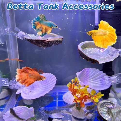 VCEPJH Betta Hammock with Suction Cups Betta Resting Spot 3 Pcs Shell Bed Toys for Aquarium Small Fish Natural Spawning Grounds Breeding Fish Tank Accessories Decorations