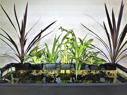 Aquarium Plant Holder for Rimmed and Rimless Tanks, PLA+ Plastic, Fish-Safe, Accessory