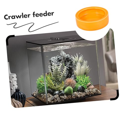 Kisangel Crawler Crawling Pet Escape Food Bowl Orange Feeder Dish for Shrimp Fish and Reptiles Smooth for Aquatic and Terrarium Use