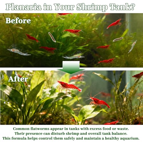 No Planaria & Hydra Support, Aquarium Balance Liquid for Shrimp & Fish, Helps Maintain Tank Stability and Reduce Flatworm-Related Issues, Shrimp-Safe Formula, 60ml