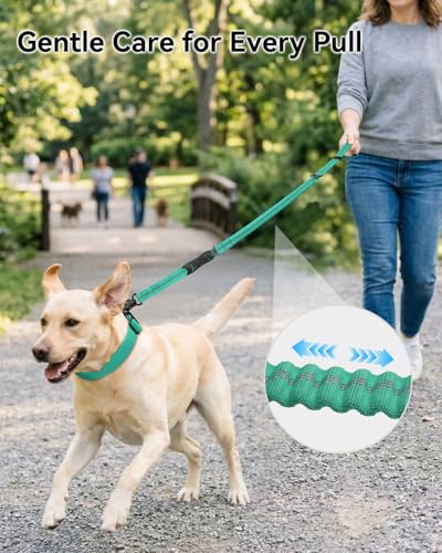 Joytale Tactical Bungee Dog Leash, Shock Absorbing No Pull, Teal - color: Teal