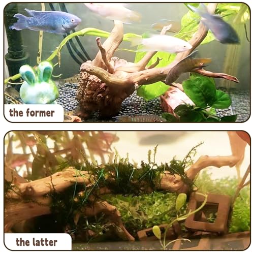 6-8in Aquarium Driftwood 3PCS Reptile Spider Wood Assorted Branches Natural Trunk Driftwood Tree Fish Tank Decoration - size: S:Spiderwood (6-8in 3PCS)