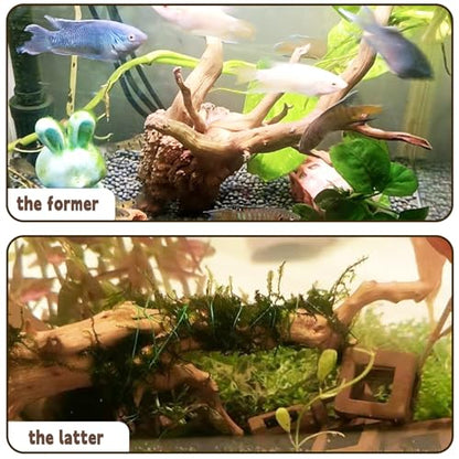 6-8in Aquarium Driftwood 3PCS Reptile Spider Wood Assorted Branches Natural Trunk Driftwood Tree Fish Tank Decoration - size: S:Spiderwood (6-8in 3PCS)