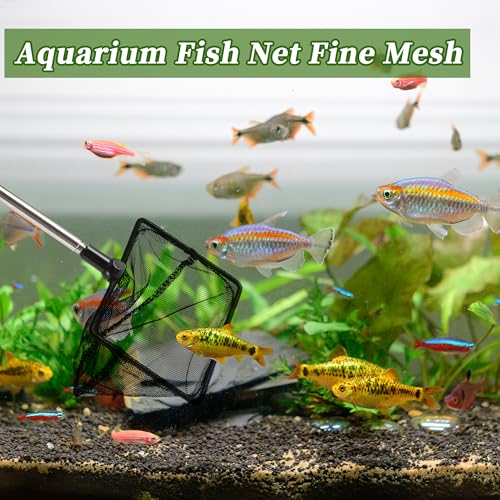 Fish Tank Net, Fine Mesh Aquarium Fish Net, Long Handle Fish Net, Stainless Steel Extendable Handle, Square Aquarium Cleaning Net for Aquarium Accessories - size: 4 inch