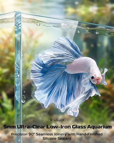 Glass Fish Tank Kit, 10 Gallon Betta Fish Tank Aquarium Starter Kit with Filter, Lights, Lid, for Betta, Goldfish, Small Fish or shrimg