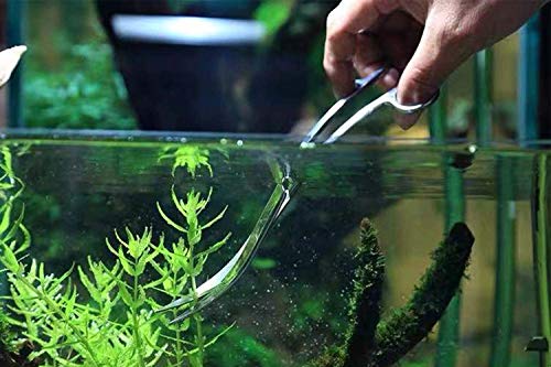 Aquarium Scissors, Stainless Steel Mirror Wave Scissors, Professional Aquarium Plant Scissors, Ambidextrous, Silver
