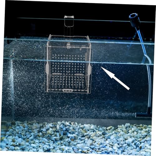 COLLBATH 1set Fish Isolation Box with Cups and Hook Acrylic Breeding Container for Fish Separation Tanks Design Prevents Jumping and